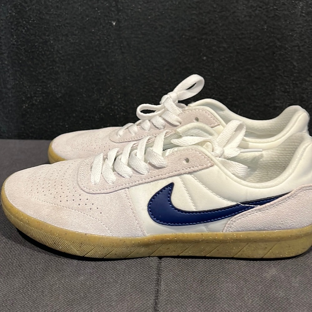 Nike sb